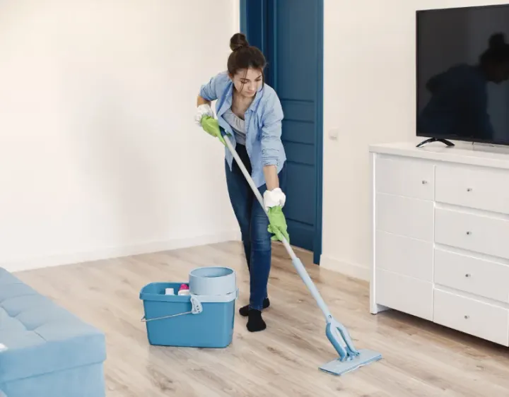 Femme de ménage Flexanville